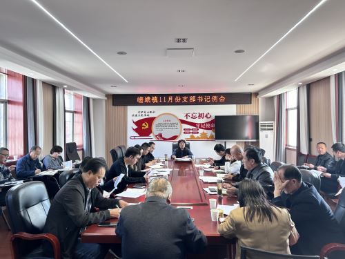 支部书记例会