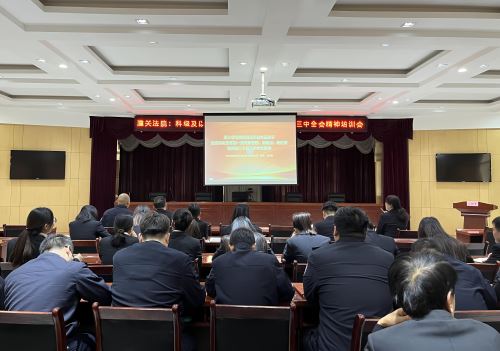 微信图片_20241125162433