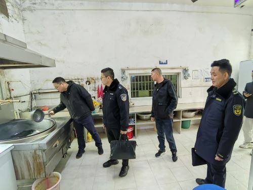 20241120吴书记带领镇司法所、派出所、市监所、执法办、社治办到汉双区域敬老院督导平安建设3