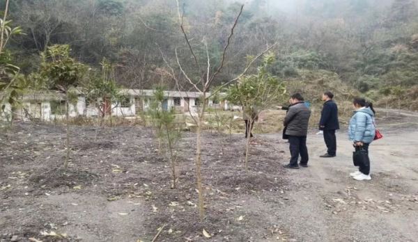 微信图片_20241217150421