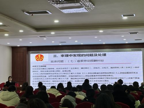 照片2