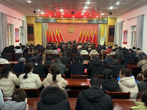 城关街道传达学习县两会精神