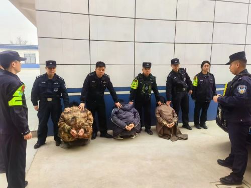 微信图片_20250402153345