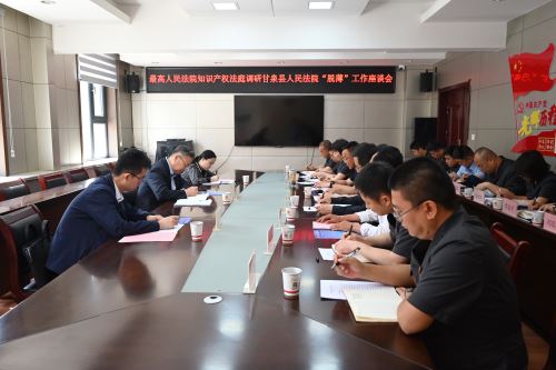 最高法院调研组深入甘泉法院调研指导