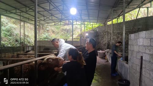 5d30e9057213dad604c57af12fddc3d 5d30e9057213dad604c57af12fddc3d