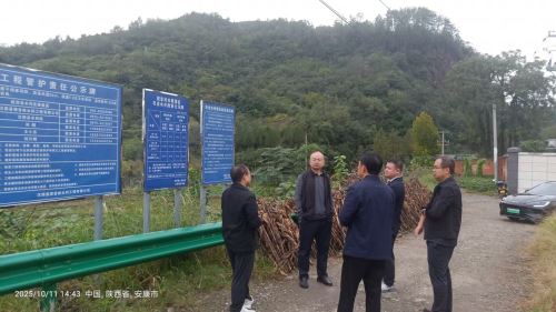 mmexport1760235420629 mmexport1760235420629