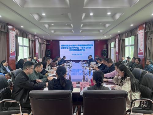 dd3a1543c92b942bf89a67686719a65a dd3a1543c92b942bf89a67686719a65a