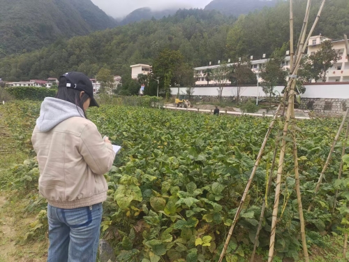 微信图片_2025-10-28_101404_366 微信图片_2025-10-28_101404_366