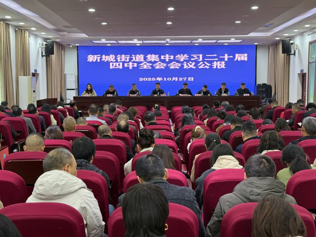 汉滨区新城街道传达学习党的二十届四中全会精神