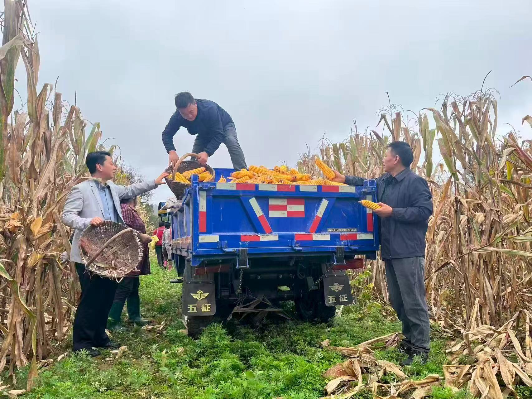 44a2a5f8261640b5a8da5062fce2fda6 44a2a5f8261640b5a8da5062fce2fda6