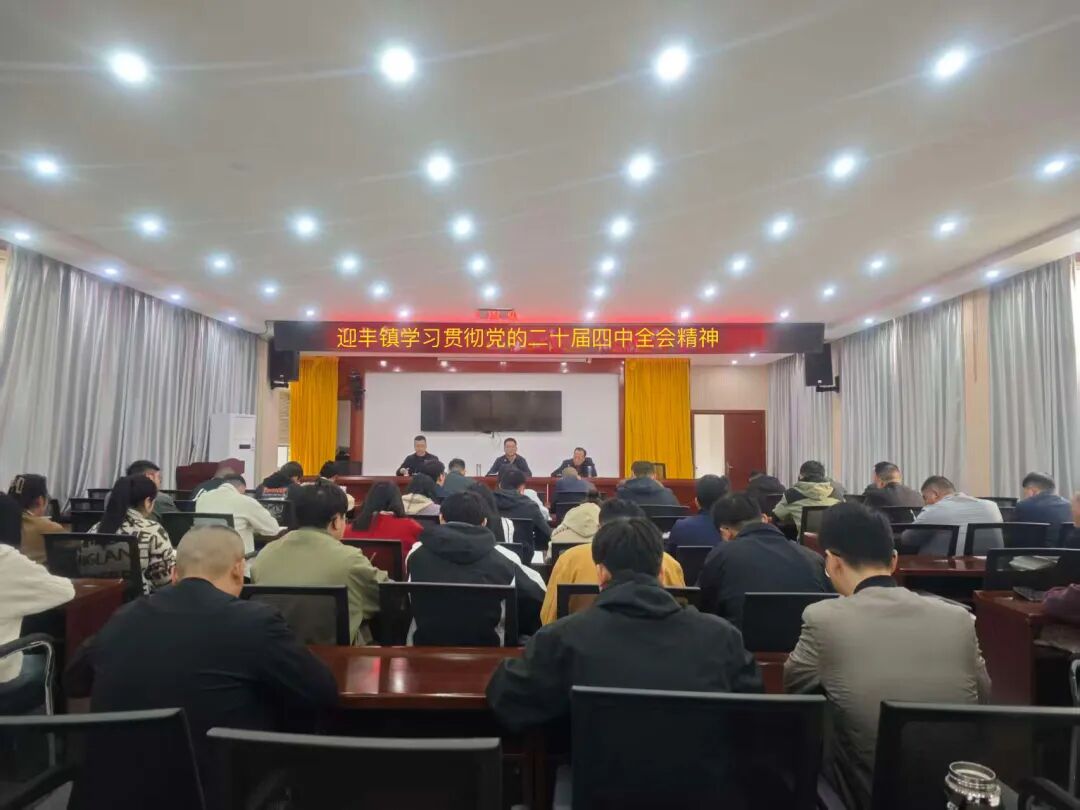 石泉县迎丰镇学习贯彻党的二十届四中全会精神
