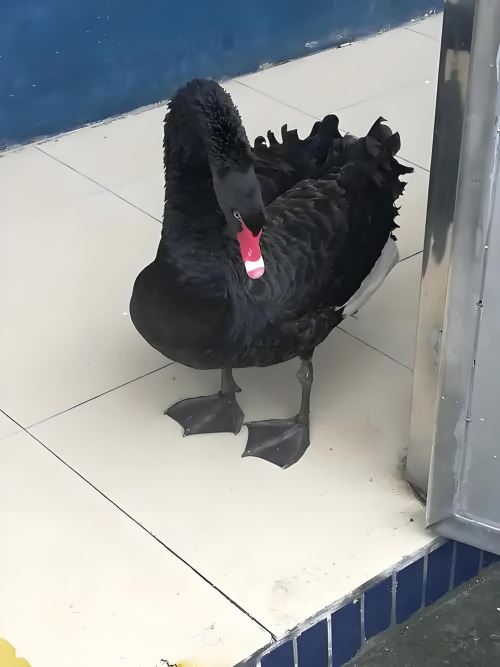 01c3ce0b0f1aa198ddadf72b69353e7a_compress