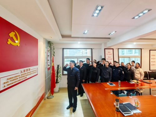 平利法院：以铮铮誓言筑牢信仰之基  用庄严仪式激发奋进力量