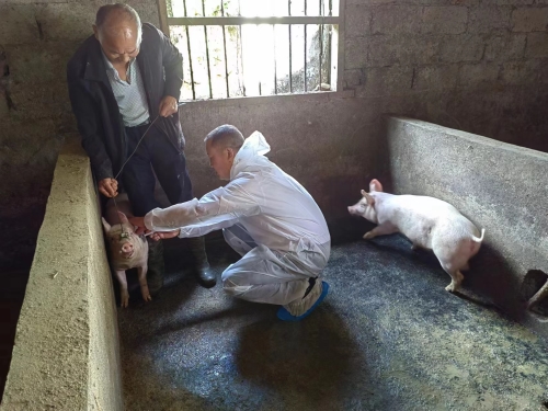 汉阴县汉阳镇陈兴寿：扎根基层办实事 情系畜牧暖民心