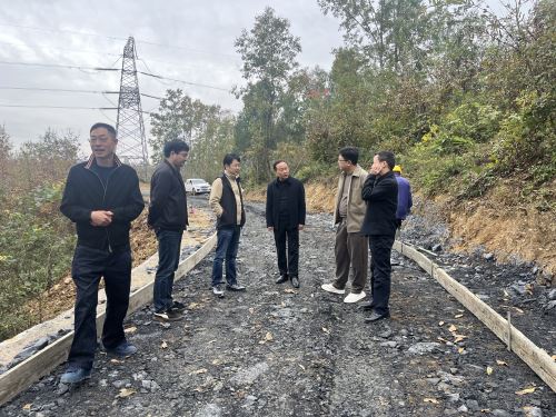 汉阴县汉阳镇：书写库区移民“后半篇文章”的实践与成效