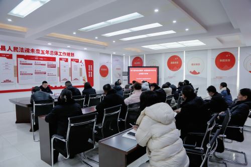 学习全会精神 永葆清廉本色——石泉法院开展主题党日活动