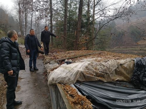 汉阴县汉阳镇：专项验收秸秆综合利用  筑牢乡村生态振兴绿色根基