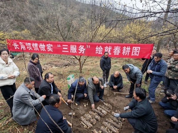 佛坪县长角坝镇：做实“三服务” 绘就春耕“奋进图”   