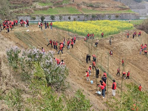 微信图片_20260312150603_563_7 微信图片_20260312150603_563_7