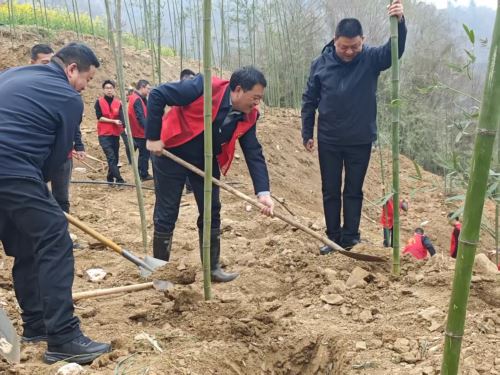 微信图片_20260312144450_388_9 微信图片_20260312144450_388_9