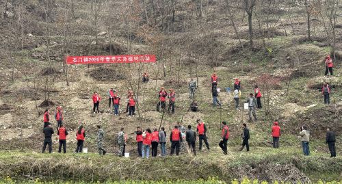 旬阳市石门镇：植树添绿正当时 生态富民启新程
