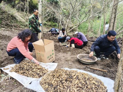 0c934d515c3f4a6c840c874fb0609c91 0c934d515c3f4a6c840c874fb0609c91