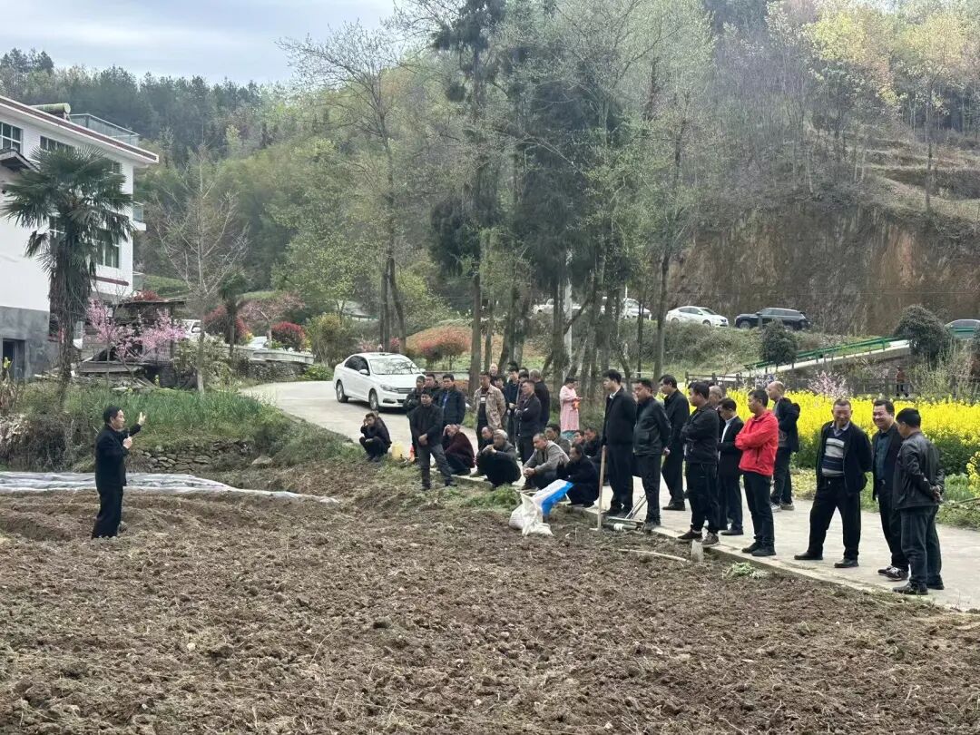 汉阴县漩涡镇：田间课堂传技忙 烤烟备耕正当时