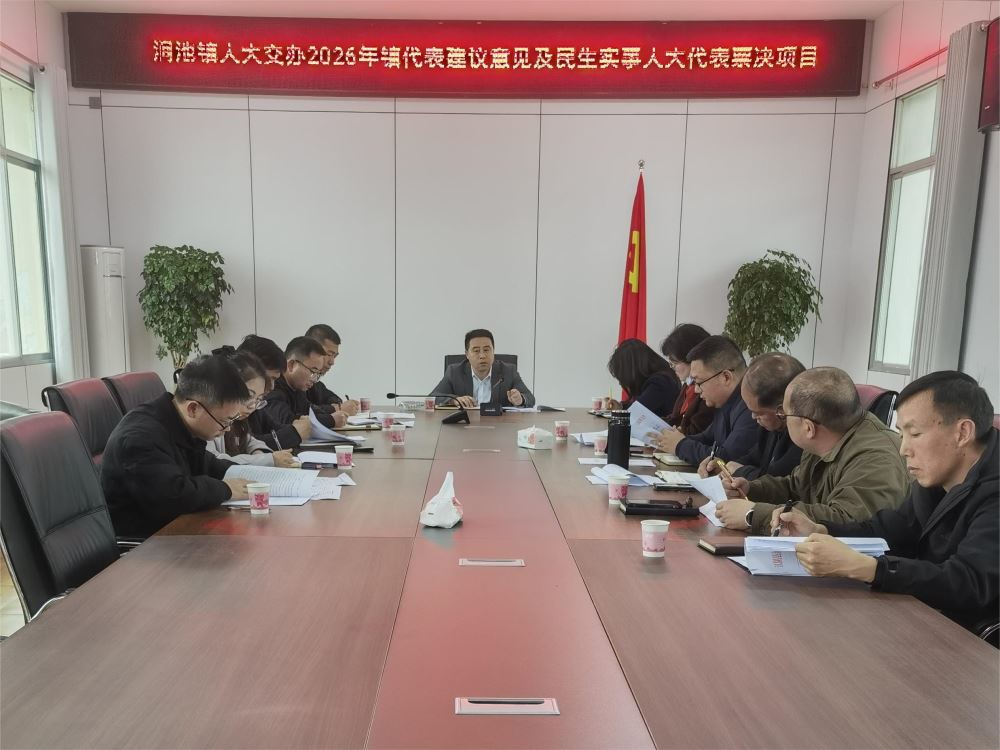 汉阴县涧池镇：集中交办促落实 人大票决有回应