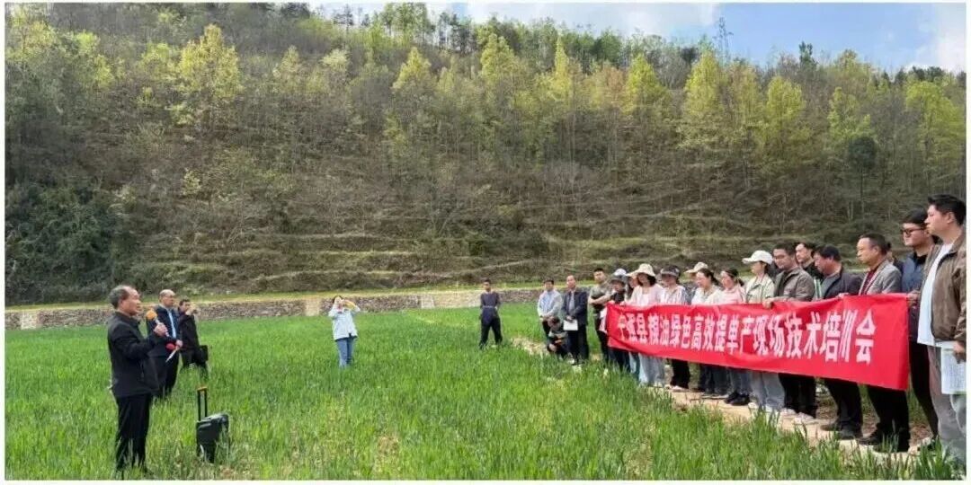 陕西宁强县：麦田里的“公开课”