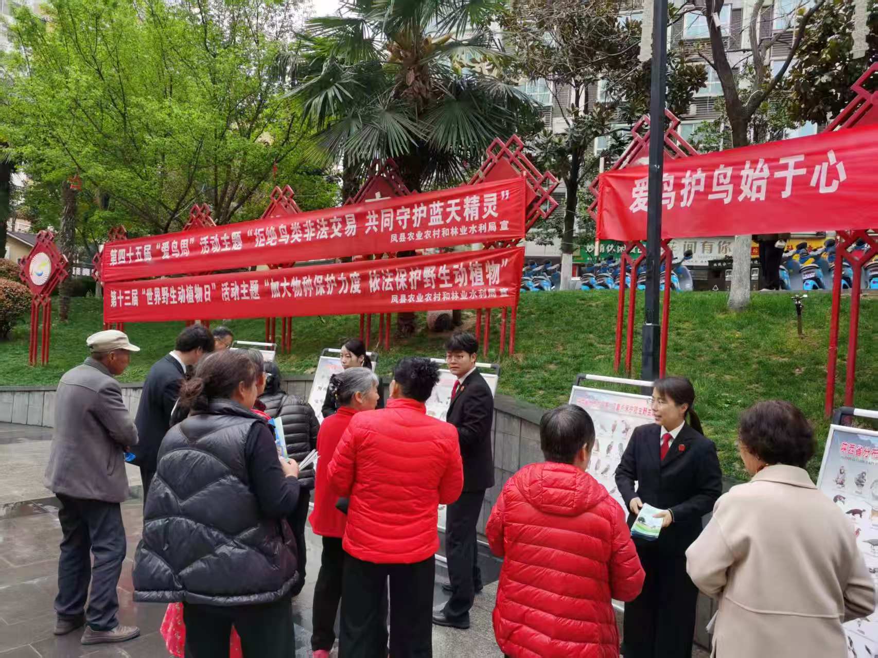 爱鸟护鸟始于心  司法护航践于行  ——凤县人民法院开展“爱鸟周”普法宣传活动