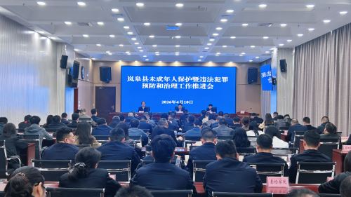 岚皋县召开未成年人保护工作推进会