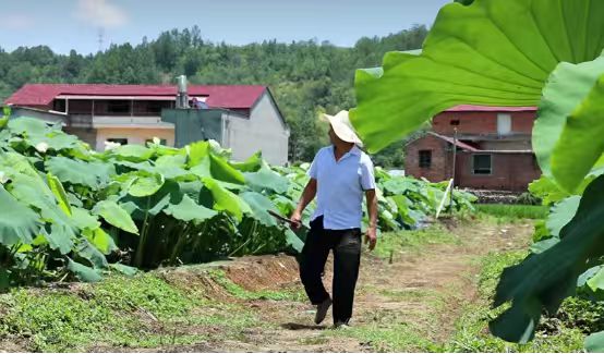 ac556bc695cae4b4bbc6c6e231ac59d5