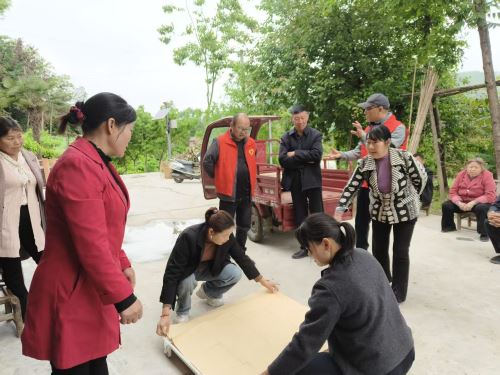 王家河村工作人员协助小蚕共育户分发小蚕 王家河村工作人员协助小蚕共育户分发小蚕