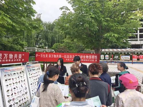 护一方生灵 泽万物共荣——凤县人民法院开展 “国际生物多样性日”普法宣传活动