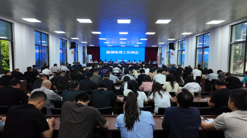 凝心聚力抓落实 守牢底线促发展 —— 瀛湖镇召开周重点工作安排部署会