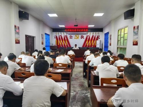 红色沃土忆峥嵘 初心如磐赴新程——汉滨区叶坪镇系列活动热烈庆祝建党105周年