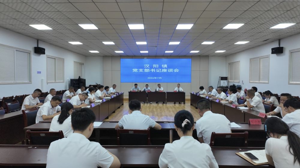 头雁齐聚话民生 凝心聚力促实干 ——汉阴县汉阳镇召开党支部书记座谈会