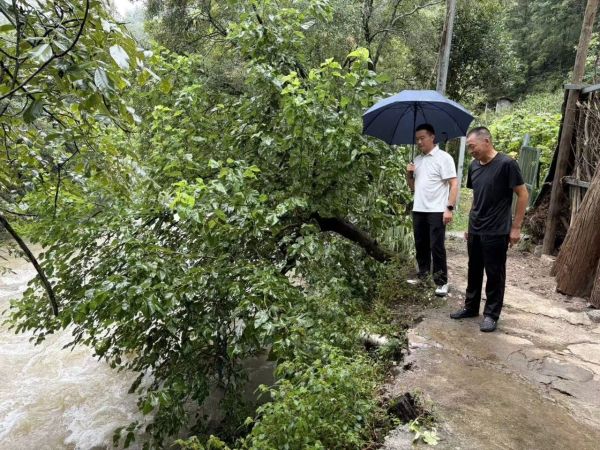 风雨无惧守一线！紫阳县麻柳镇全域联动织密汛期安全防护网   