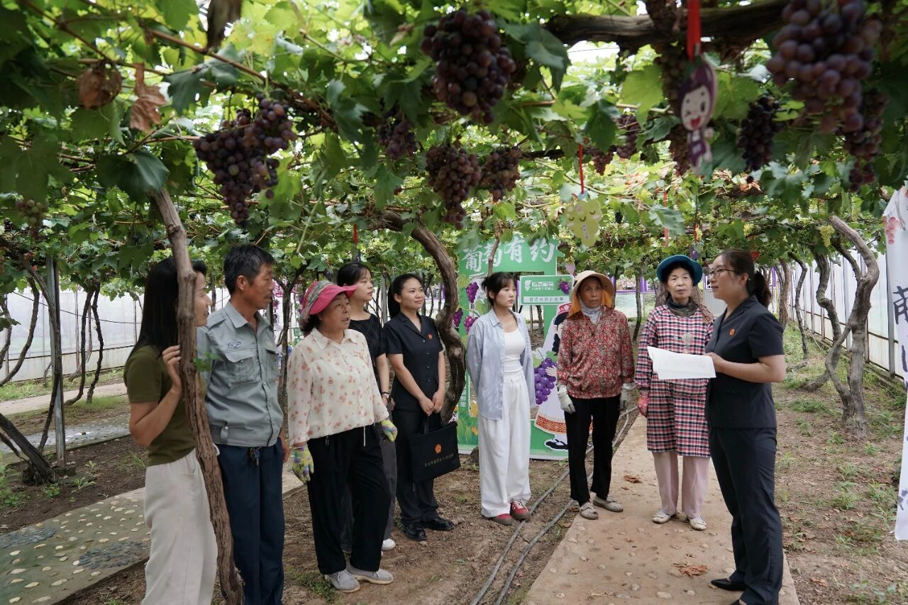 法庭搬进葡萄园 服务围着群众转——渭南市临渭区人民法院下邽人民法庭精准护航特色产业发展