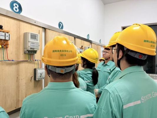 国网山阳县供电公司：登杆装担练真功 接线接表见匠心