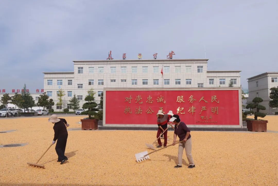 微信图片_2026-09-17_103154_969 微信图片_2026-09-17_103154_969