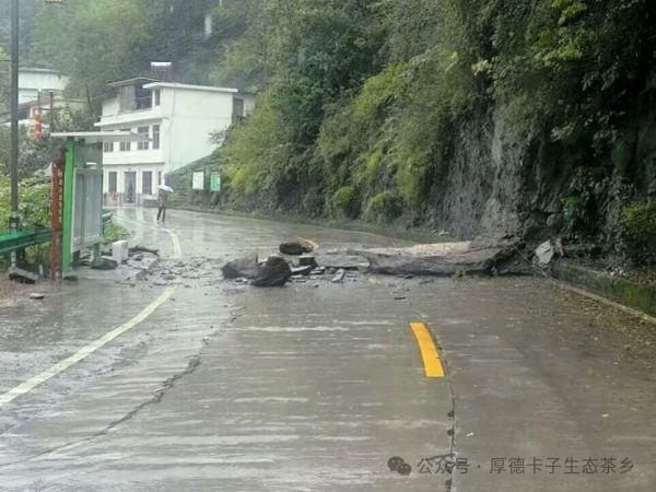 ​ 闻汛而动快速除险 守护群众平安防线——白河县卡子镇高效处置两起山体滑坡险情