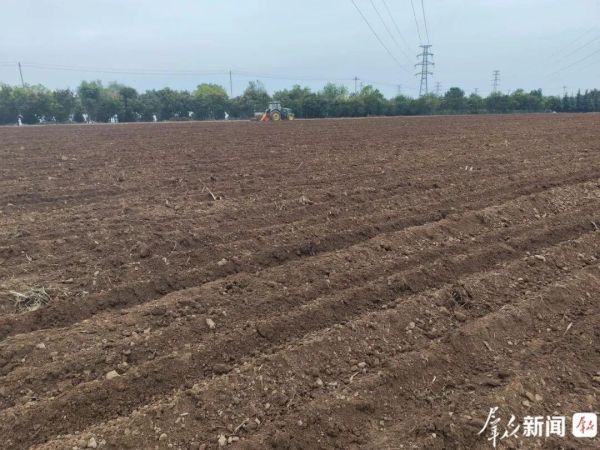 宽幅沟播抢农时 槐乡大地播麦香   