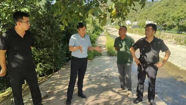 入户访民情 实干解民忧——山阳县十里铺街道扎实开展专项行动筑牢基层治理根基
