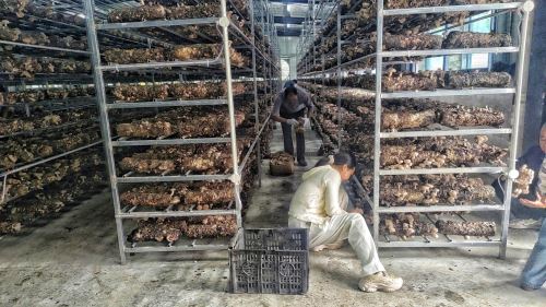 微信图片_20261010111139_937_17 微信图片_20261010111139_937_17