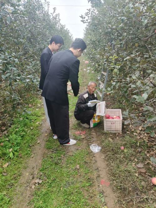 永寿法院：送法进果园 平安宣传到田间